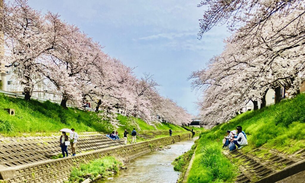 tea tearoom teaceremony 奈良 茶道 体験 nara 三五夜 さんごや 三五屋 茶会 茶室 隠れ家 にじり口 炭 風炉 掛軸 茶道具 JR奈良駅 駅前 月釜 徒歩圏内 奈良県 奈良市 三網田 濃茶 薄茶 続き薄 茶道具 茶道具販売 8月 葉月 八月 広間 夏 観光 奈良新名所 奈良県 伝統文化 日本文化 少人数制 小寄せ ゆったり 濃茶 薄茶 各服点て 上生菓子 干菓子 JR奈良駅 駅前 牧田旬加 出張料理人 出張料理 京料理 割烹 カウンター 懐石料理 膳 椀物 一献 料理教室 素麺 そうめん 三輪そうめん 三輪素麺 にゅうめん 柿の葉寿司 寿司 奈良名産 名産品 奈良土産 食材 地元 月釜 茶会 小寄せ茶会 小間 にじり口 本格的 茶道 茶の湯 茶事 茶道具 薄茶器 奈良道具 練香 和菓子 上生菓子 パンプキンプリン 限定カフェ 隠れ家カフェ 予約制 カウンター席 カウンター パン 抹茶 奈良 なら nara 三五夜 三五屋 さんごや sangoya 隠れ家 サロン 茶の湯 茶道 煎茶道 煎茶道体験 煎茶道教室 教室 和の稽古 お稽古 習い事 茶会 月釜 濃茶 各服点て 薄茶 上生菓子 干菓子 和菓子 ほっこり のんびり 奈良の秘密スポット JR奈良 奈良駅 旧奈良駅駅舎 駅前 駅近 徒歩2分 徒歩圏内 古民家 古民家リノベーション 改装 和室 大正レトロ レトロモダン 料亭 茶室 にじり口 小間 広間 座敷 茶事 表千家茶道 表千家茶道教室 古典 奈良市三条町 伝統 茶道具 アフターコロナ 感染予防対策 ワクチン接種済 ワクチン接種証明 香会 雅楽 日本舞踊 個別レッスン 初心者歓迎 堂後茶道教室 堂後宗邑 ならまち 奈良町 表千家 表千家茶道教室 月釜 茶会 小寄せ茶会 小間 にじり口 本格的 茶道 茶の湯 茶事 正午の茶事 茶事教室 寄付き 出会い 蹲踞 蹲 炭点前 初炭 点前 盆香合 タイ王室 羅国 香木 五味六国 沈香 高台寺蒔絵 炉縁 抱清棚 八寸 千鳥 千鳥の盃 懐石料理 本懐石 盃事 大講堂釜 炉 名残 にじり口 牧田旬加 料理人 和食 出張料理 間借り 割烹 台所方 包丁方 料理方 初釜 雑煮 白味噌雑煮 料亭 美味しい 正月 初詣 奈良の正月 夜咄 二月 冬の茶事 いけばな 生け花 華道 華道教室 いけばな教室 生け花教室 山村御流 円照寺 雲龍梅 ウンリュウバイ 三光松 サンコウマツ レッドウィロー 椿 ツバキ つばき 雪月花 五葉松 ゴヨウマツ 千両 千両 梅ズワエ ずわい 梅 仏手柑 柿 隼人瓜 ハヤトウリ 吉祥草 キッショウソウ 苫朴 生駒敦 生駒瓢 華道家 アーティスト フラワーワレンジメント フラワーアーティスト 正月 新春 初釜 雑煮 お雑煮 白味噌 初詣 春日大社 東大寺 奈良の神社 奈良の寺 令和八年 2026年 午年 春 弥生 若草山 佐保川 佐保姫 桜 さくら 花見 雛祭り ひなまつり
